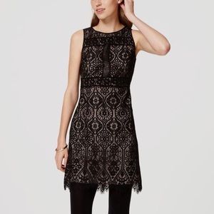 Lace Loft Dress